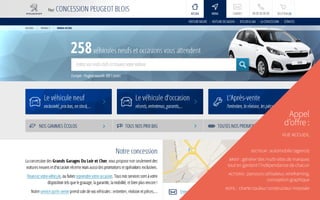 Appel
d’offre :
vue accueil
secteur : automobile (agence)
brief : générer des multi-sites de marques
tout en gardant l’indépendance de chacun
actions : parcours utilisateur, wireframing,
conception graphique
note : charte couleur constructeur imposée
 