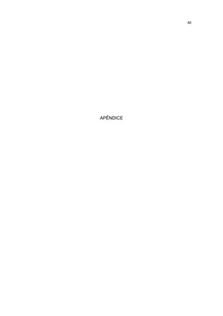 40

APÊNDICE

 