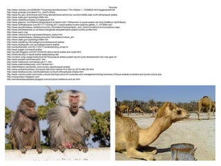 Sources
http://www.nytimes.com/2008/08/17/business/worldbusiness/17iht-inflation.1.15359629.html?pagewanted=all
http://www.youtube.com/watch?v=_m4cFo1fQc4
http://www.fco.gov.uk/en/travel-and-living-abroad/travel-advice-by-country/middle-east-north-africa/saudi-arabia
http://www.state.gov/r/pa/ei/bgn/3584.htm
http://www.networkoverseas.cc/maps/saudi.htm
http://www.glamour.com/fashion/blogs/slaves-to-fashion/2011/09/women-in-saudi-arabia-can-fina.html#ixzz1qSXHBa3U
http://www.huffingtonpost.com/2011/11/03/hajj-2011-saudi-arabia-muslim-pilgrims-gather_n_1073584.html
http://www.saudiembassy.net/about/country-information/transportation_and_communication/communications.aspx
http://www.kwintessential.co.uk/resources/global-etiquette/saudi-arabia-country-profile.html
http://www.sacm.org/
http://www.nationsonline.org/oneworld/saudi_arabia.htm
http://www.saudiembassy.net/about/country-information/culture_art/
http://www.state.gov/r/pa/ei/bgn/3584.htm
http://www.wayfaring.info/category/countries/saudi-arabia/
http://www.asianguide.com.au/category/saudi-arabia/
http://emilystrempler.com/2011/03/17/understanding-unrest-4/
http://www.juggle.com/saudi-arabia
http://lucys6.blogspot.com/2012/02/truth-about-saudi-arabia-and-royal.html
http://financial-jobs-in-saudi-arabia.seebyseeing.net/
http://content.undp.org/go/newsroom/2010/july/saudi-arabia-project-launch-puts-development-into-new-gear.en
http://www.saudinf.com/main/q031.htm
http://www.traderscity.com/abcg/cultur11.htm
http://www.arabmediasociety.com/?article=421
http://teenfreedom.wordpress.com/country-reports/saudi-arabia/
http://www.arabianbusiness.com/saudi-fast-food-market-hit-4-5bn-by-2015-446129.html
http://www.foodbycountry.com/Kazakhstan-to-South-Africa/Saudi-Arabia.html
http://www.communicaid.com/cross-cultural-training/culture-for-business-and-management/doing-business-in/Saudi-arabian-business-and-social-culture.php
http://mysauditour.blogspot.com/
http://wondersofsaudiarabia.blogspot.com/p/culture-traditions-and-art.html
 