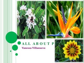 ALL ABOUT PLANTS Vanessa Villanueva 