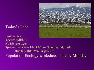 Today’s Lab:

Last practical
Revised syllabus
No lab next week
Species interaction lab: 9:30 am, Saturday July 18th
       Due July 18th: Wiki & pre-lab
Population Ecology worksheet - due by Monday
 