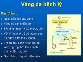 Vàng da bệnh lý
Đặc điểm :
 Ngày đầu tiên sau sanh
 Vàng da cần chiếu đèn
 BR tăng nhanh > 0.2 mg/dL-giờ
 VD >7 ngày ở trẻ đủ tháng, sau
14 ngày ở trẻ thiếu tháng.
 Trẻ có dấu bệnh lý; lừ đừ, bú
kém, ngưng thở, thở nhanh,
thân nhiệt thay đổi…
 Gan lách to hay có thiếu máu
 