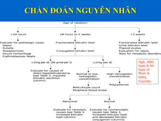 CHẨN ĐOÁN NGUYÊN NHÂN
Hgb, ABO
type & Rh
type of
Mom &
baby,
Coombs
 