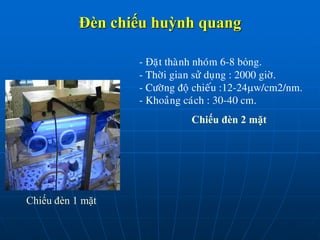 Đèn chiếu huỳnh quang
- Đaët thaønh nhoùm 6-8 bóng.
- Thôøi gian söû duïng : 2000 giôø.
- Cöôøng ñoä chieáu :12-24w/cm2/nm.
- Khoaûng caùch : 30-40 cm.
Chiếu đèn 2 mặt
Chiếu đèn 1 mặt
 