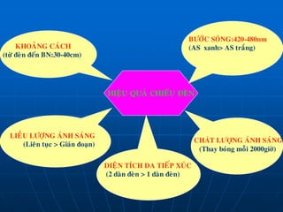 HIEÄU QUAÛ CHIEÁU ÑEØN
KHOAÛNG CAÙCH
(töø ñeøn ñeán BN:30-40cm)
LIEÀU LÖÔÏNG AÙNH SAÙNG
(Lieân tuïc > Giaùn ñoaïn)
DIEÄN TÍCH DA TIEÁP XUÙC
(2 daøn ñeøn > 1 daøn ñeøn)
CHẤT LƯỢNG AÙNH SAÙNG
(Thay boùng moãi 2000giôø)
BÖÔÙC SOÙNG:420-480nm
(AS xanh> AS traéng)
 