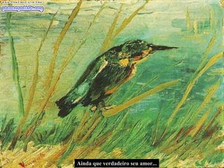 Ainda que verdadeiro seu amor... 