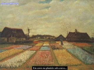 Em cores na planície sob a neve... 