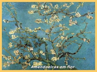 Amendoeiras em flor
 