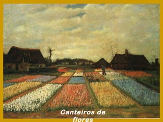 Canteiros de
   flores
 