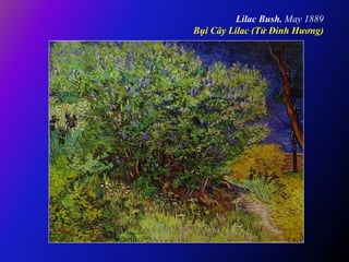 Lilac Bush. May 1889
Bụi Cây Lilac (Tử Đinh Hương)
 