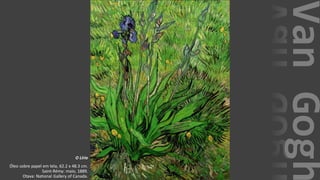 VanGogh
O Lírio
Óleo sobre papel em tela, 62.2 x 48.3 cm.
Saint-Rémy: maio, 1889.
Otava: National Gallery of Canada.
 