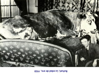 Buñuel, La edad de oro, 1930 