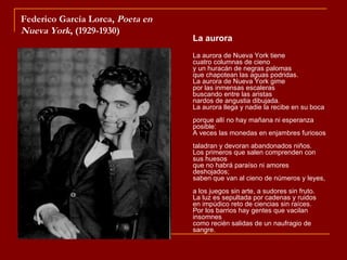 Federico García Lorca, Poeta en
Nueva York, (1929-1930)
                                  La aurora
                                  La aurora de Nueva York tiene
                                  cuatro columnas de cieno
                                  y un huracán de negras palomas
                                  que chapotean las aguas podridas.
                                  La aurora de Nueva York gime
                                  por las inmensas escaleras
                                  buscando entre las aristas
                                  nardos de angustia dibujada.
                                  La aurora llega y nadie la recibe en su boca
                                  porque allí no hay mañana ni esperanza
                                  posible:
                                  A veces las monedas en enjambres furiosos
                                  taladran y devoran abandonados niños.
                                  Los primeros que salen comprenden con
                                  sus huesos
                                  que no habrá paraíso ni amores
                                  deshojados;
                                  saben que van al cieno de números y leyes,
                                  a los juegos sin arte, a sudores sin fruto.
                                  La luz es sepultada por cadenas y ruidos
                                  en impúdico reto de ciencias sin raíces.
                                  Por los barrios hay gentes que vacilan
                                  insomnes
                                  como recién salidas de un naufragio de
                                  sangre.
 