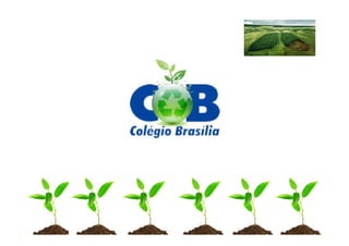 Caso de Sucesso Colégio Brasília - Planeta Vivo! Sustente esta ideia por Vania Longo