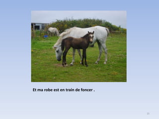 Et ma robe est en train de foncer .

15

 