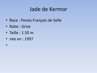 Jade de Kermor
•
•
•
•
•

Race : Poney Français de Selle
Robe : Grise
Taille : 1.50 m
née en : 1997

4

 