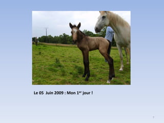 Le 05 Juin 2009 : Mon 1er jour !

7

 