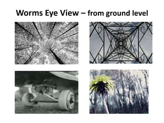 Worms Eye View – from ground level
 