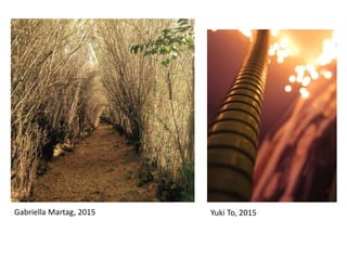 Gabriella Martag, 2015 Yuki To, 2015
 