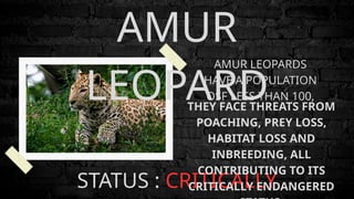 Power Point Presentation Endangered Animals | PPTX