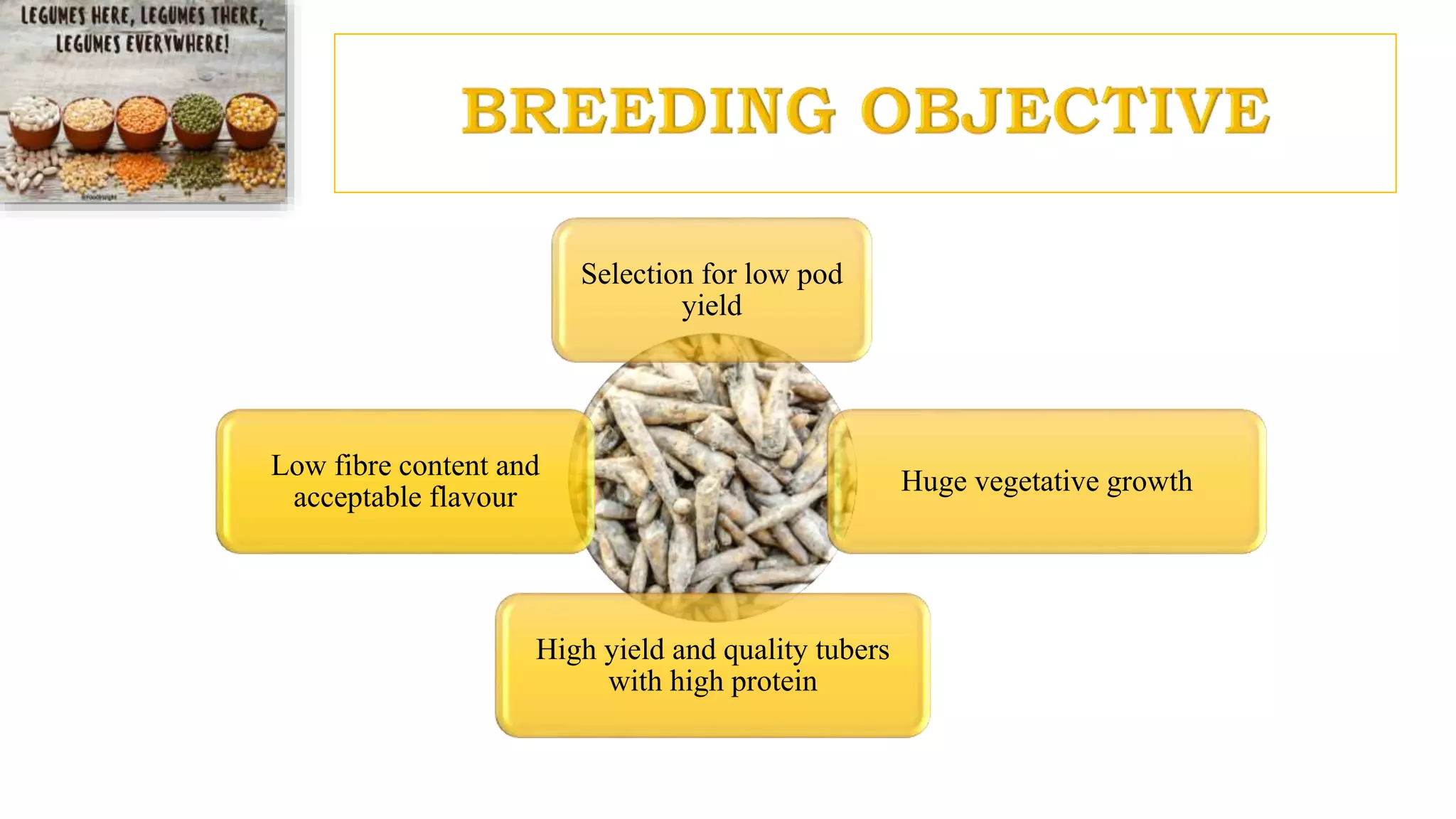 Selection for low pod
yield
Huge vegetative growth
High yield and quality tubers
with high protein
Low fibre content and
acceptable flavour
 