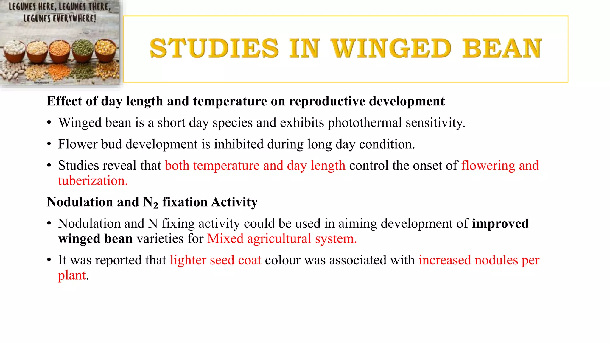 Effect of day length and temperature on reproductive development
• Winged bean is a short day species and exhibits photothermal sensitivity.
• Flower bud development is inhibited during long day condition.
• Studies reveal that both temperature and day length control the onset of flowering and
tuberization.
Nodulation and N₂ fixation Activity
• Nodulation and N fixing activity could be used in aiming development of improved
winged bean varieties for Mixed agricultural system.
• It was reported that lighter seed coat colour was associated with increased nodules per
plant.
 