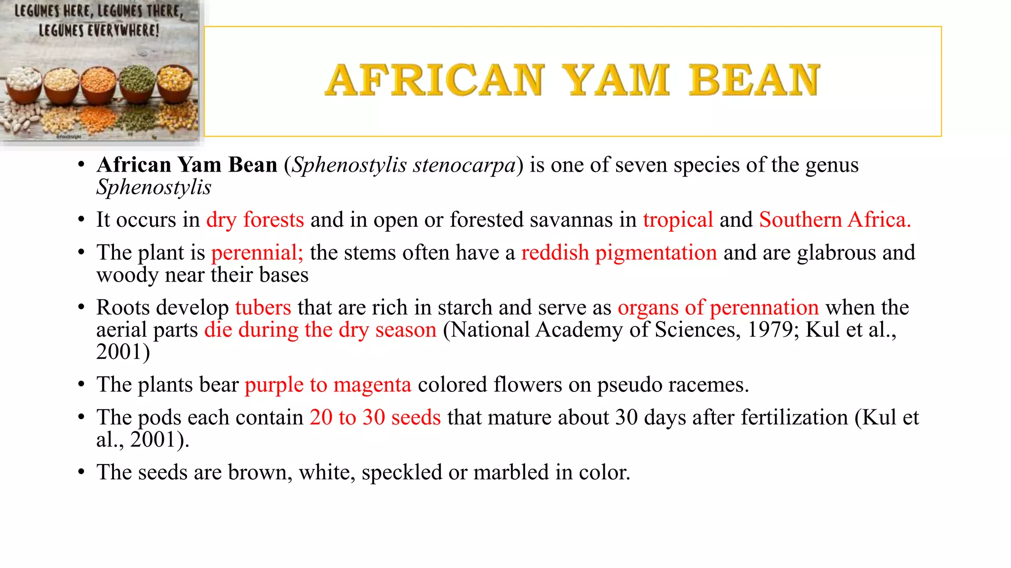 • African Yam Bean (Sphenostylis stenocarpa) is one of seven species of the genus
Sphenostylis
• It occurs in dry forests and in open or forested savannas in tropical and Southern Africa.
• The plant is perennial; the stems often have a reddish pigmentation and are glabrous and
woody near their bases
• Roots develop tubers that are rich in starch and serve as organs of perennation when the
aerial parts die during the dry season (National Academy of Sciences, 1979; Kul et al.,
2001)
• The plants bear purple to magenta colored flowers on pseudo racemes.
• The pods each contain 20 to 30 seeds that mature about 30 days after fertilization (Kul et
al., 2001).
• The seeds are brown, white, speckled or marbled in color.
 