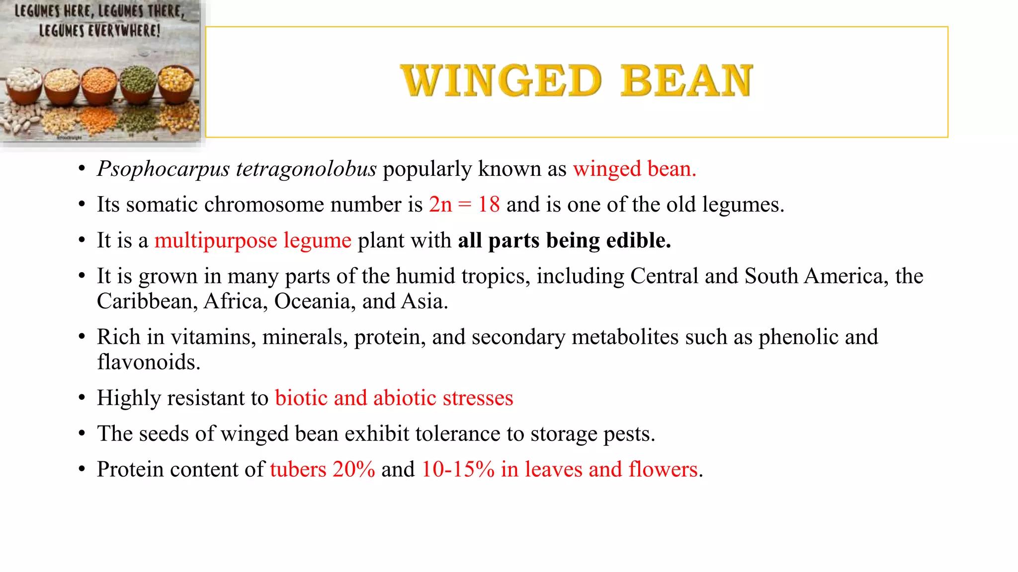 • Psophocarpus tetragonolobus popularly known as winged bean.
• Its somatic chromosome number is 2n = 18 and is one of the old legumes.
• It is a multipurpose legume plant with all parts being edible.
• It is grown in many parts of the humid tropics, including Central and South America, the
Caribbean, Africa, Oceania, and Asia.
• Rich in vitamins, minerals, protein, and secondary metabolites such as phenolic and
flavonoids.
• Highly resistant to biotic and abiotic stresses
• The seeds of winged bean exhibit tolerance to storage pests.
• Protein content of tubers 20% and 10-15% in leaves and flowers.
 