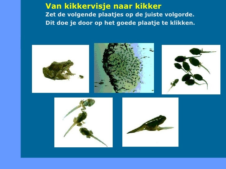 Van Klein Naar Groot