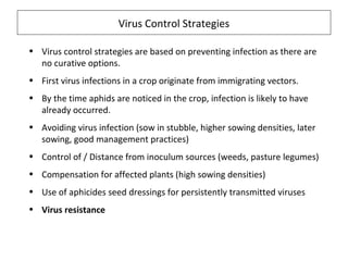 Virus Control Strategies
• Virus control strategies are based on preventing infection as there are
no curative options.
• First virus infections in a crop originate from immigrating vectors.
• By the time aphids are noticed in the crop, infection is likely to have
already occurred.
• Avoiding virus infection (sow in stubble, higher sowing densities, later
sowing, good management practices)
• Control of / Distance from inoculum sources (weeds, pasture legumes)
• Compensation for affected plants (high sowing densities)
• Use of aphicides seed dressings for persistently transmitted viruses
• Virus resistance
 