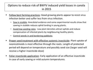 Options to reduce risk of BWYV induced yield losses in canola
in 2015
• Follow best farming practices: Good growing plants appear to resist virus
infection better and suffer less from virus infection.
– Sow in stubble: Anecdotal evidence and some experimental results show that
sowing in stubble reduces aphid landing in young plants.
– Avoid low seeding rates: Low plant densities attract aphids and reduce
compensation of infected plants by neighbouring healthy plants.
– Control weeds in and bordering paddocks
• Proper seed treatment with effective systemic insecticide: Plant uptake of
neonicotinoids is most effective through the roots. Length of protected
period will depend on temperature and possibly seed size (larger seed will
receive a higher insecticide dose)
• Foliar insecticide application: Early application of an effective insecticide
in case of early sowing or mild autumn temperatures.
 