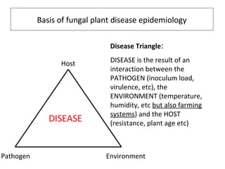 EnvironmentPathogen
Host
DISEASE
Disease Triangle:
DISEASE is the result of an
interaction between the
PATHOGEN (inoculum load,
virulence, etc), the
ENVIRONMENT (temperature,
humidity, etc but also farming
systems) and the HOST
(resistance, plant age etc)
Basis of fungal plant disease epidemiology
 