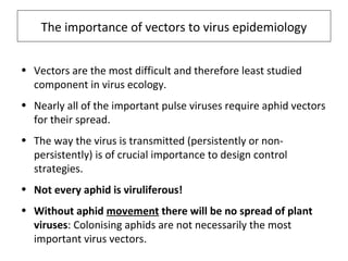 The importance of vectors to virus epidemiology
• Vectors are the most difficult and therefore least studied
component in virus ecology.
• Nearly all of the important pulse viruses require aphid vectors
for their spread.
• The way the virus is transmitted (persistently or non-
persistently) is of crucial importance to design control
strategies.
• Not every aphid is viruliferous!
• Without aphid movement there will be no spread of plant
viruses: Colonising aphids are not necessarily the most
important virus vectors.
 
