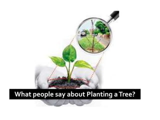What people say about Planting aTree?
 