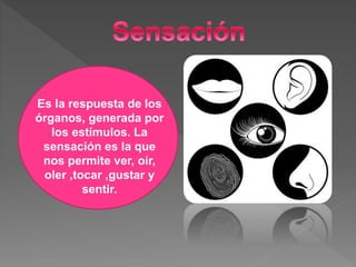 Es la respuesta de los
órganos, generada por
los estímulos. La
sensación es la que
nos permite ver, oír,
oler ,tocar ,gustar y
sentir.
 