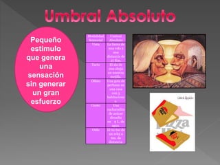 Pequeño
estimulo
que genera
una
sensación
sin generar
un gran
esfuerzo
Modalidad
Sensorial
Umbral
Absoluto
Vista La llama de
una vela a
una
distancia de
27 Km.
Tacto El ala de
una abeja
en nuestra
mejilla.
Olfato Una gota de
perfume en
una casa
con 3
habitacione
s.
Gusto Una
cucharadita
de azúcar
disuelta
en 9 L. de
agua.
Oído El tic-tac de
un reloj a
6m. de
distancia.
 