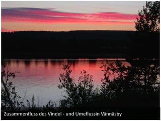 Zusammenfluss des Vindel - und Umeflussin Vännäsby
 