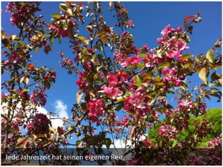 Jede Jahreszeit hat seinen eigenen Reiz.
 
