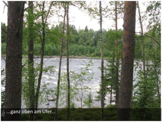 . ...ganz oben am Ufer...
 