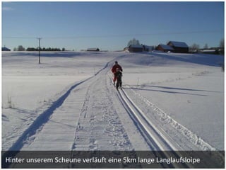 Hinter unserem Scheune verläuft eine 5km lange Langlaufsloipe
 