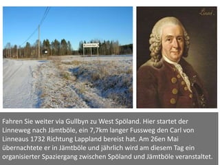 Fahren Sie weiter via Gullbyn zu West Spöland. Hier startet der
Linneweg nach Jämtböle, ein 7,7km langer Fussweg den Carl von
Linneaus 1732 Richtung Lappland bereist hat. Am 26en Mai
übernachtete er in Jämtböle und jährlich wird am diesem Tag ein
organisierter Spaziergang zwischen Spöland und Jämtböle veranstaltet.
 
