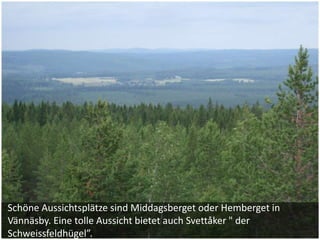 Schöne Aussichtsplätze sind Middagsberget oder Hemberget in
Vännäsby. Eine tolle Aussicht bietet auch Svettåker " der
Schweissfeldhügel”.
 