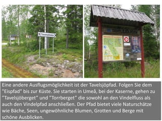 Eine andere Ausflugsmöglichkeit ist der Tavelsjöpfad. Folgen Sie dem
"Eispfad" bis zur Küste. Sie starten in Umeå, bei der Kaserne, gehen zu
”Tavelsjöberget” und ”Torrberget” die sowohl an den Vindelfluss als
auch den Vindelpfad anschließen. Der Pfad bietet viele Naturschätze
wie Bäche, Seen, ungewöhnliche Blumen, Grotten und Berge mit
schöne Ausblicken.
 