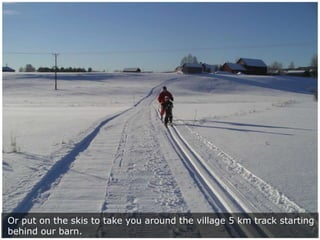 Or put on the skis to take you around the village 5 km track starting
behind our barn.
 