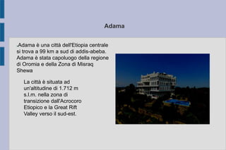 Adama
●Adama è una città dell'Etiopia centrale
si trova a 99 km a sud di addis-abeba.
Adama è stata capoluogo della regione
di Oromia e della Zona di Misraq
Shewa
La città è situata ad
un'altitudine di 1.712 m
s.l.m. nella zona di
transizione dall'Acrocoro
Etiopico e la Great Rift
Valley verso il sud-est.
 