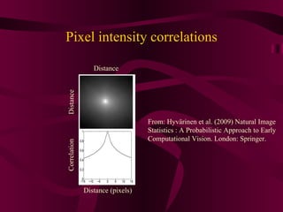 Pixel intensity correlations Distance Distance Distance (pixels) Correlation From: Hyvärinen et al. (2009) Natural Image Statistics : A Probabilistic  Approach to Early Computational Vision. London: Springer. 