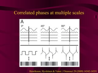 Correlated phases at multiple scales Henriksson, Hyvärinen & Vanni. J Neurosci 29 (2009) 14342-14351 