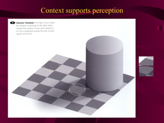 Context supports perception 
