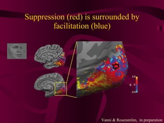 Suppression (red) is surrounded by facilitation (blue) Vanni & Rosenström,  in preparation 
