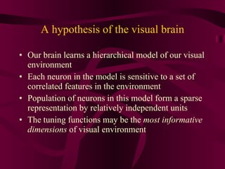 A hypothesis of the visual brain Our brain learns a hierarchical model of our visual environment Each neuron in the model is sensitive to a set of correlated features in the environment Population of neurons in this model form a sparse representation by relatively independent units The tuning functions may be the  most informative dimensions  of visual environment 